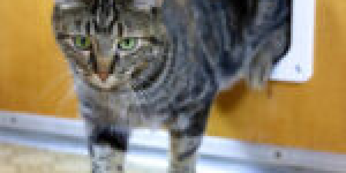 How To Create An Awesome Instagram Video About Outdoor Cat Door Installer