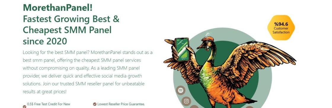 MoreThanPanel Official Cover Image