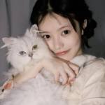 Taylorlly Profile Picture